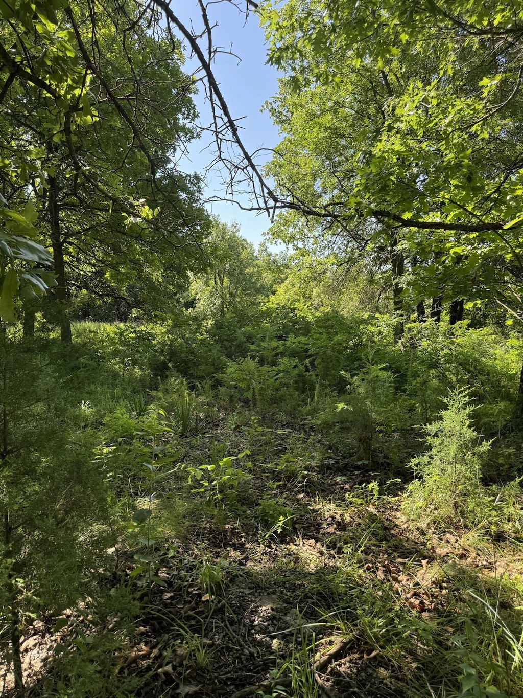 122 Post Oak Rd, Tunas, MO 65764