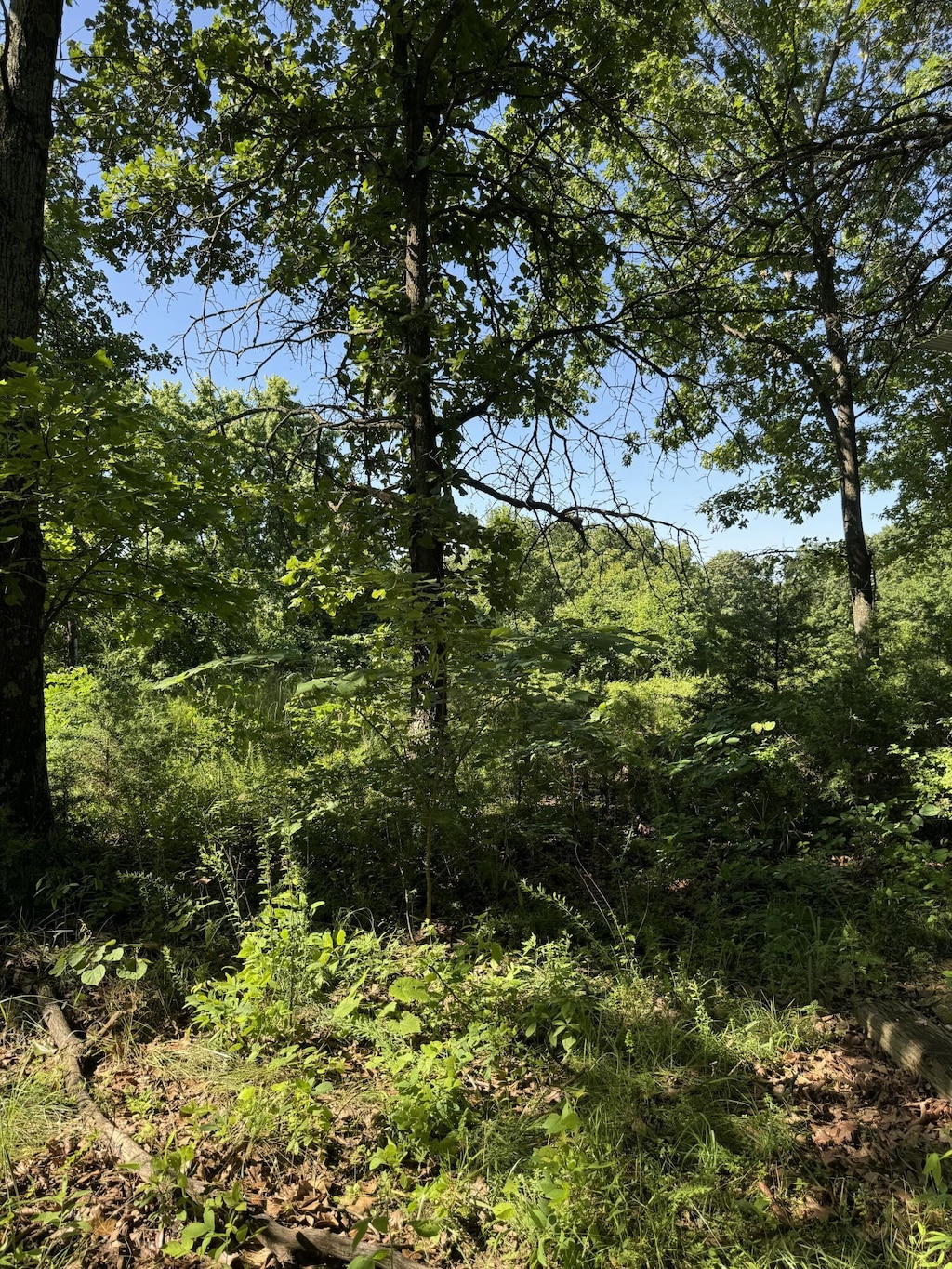 122 Post Oak Rd, Tunas, MO 65764