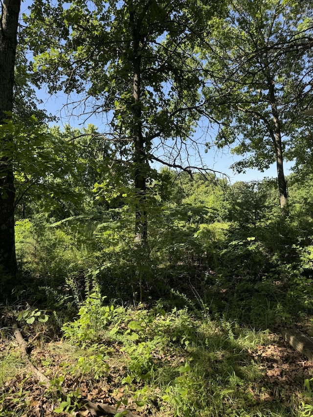122 Post Oak Rd, Tunas, MO 65764