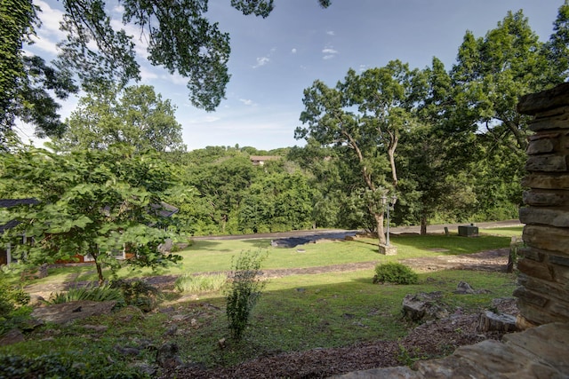 14 Little Creek Ln, Kimberling City, MO 65686 - view of grassy yard