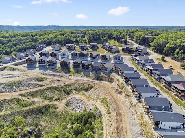 34 Shellie Ln, Branson, MO 65616 - aerial perspective of suburban area