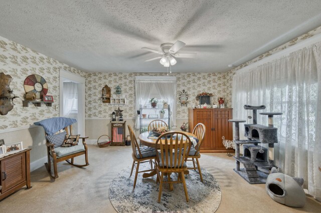 2523 N National Ave, Springfield, MO 65803 - photo 10