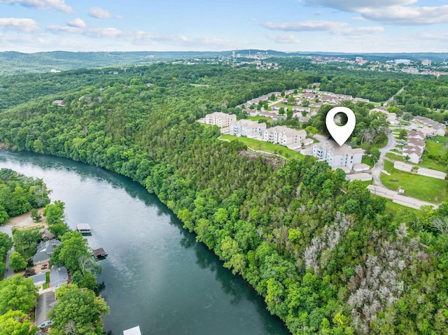 110 Cottonwood Trl Unit 2D, Branson, MO 65616 - aerial view of property and surrounding area featuring a heavily wooded area and a large body of water