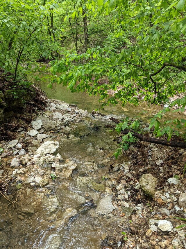 000 Coyote Ridge Rd, Cassville, MO 65625 - photo 15