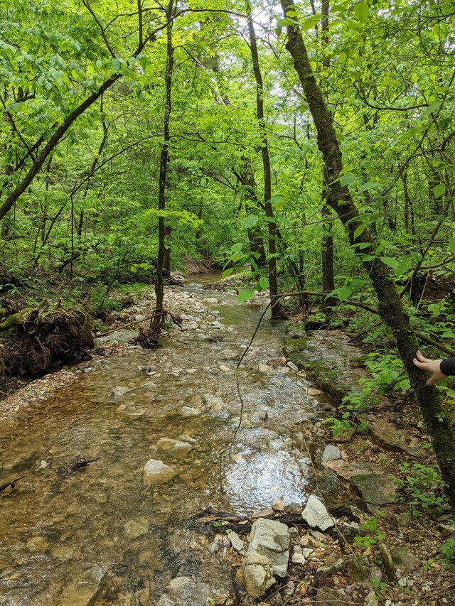 000 Coyote Ridge Rd, Cassville, MO 65625 - photo 13