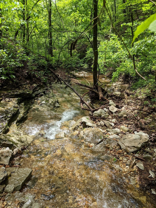 000 Coyote Ridge Rd, Cassville, MO 65625 - photo 9