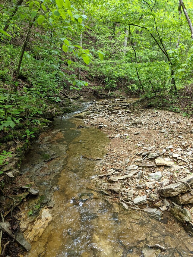 000 Coyote Ridge Rd, Cassville, MO 65625 - photo 12