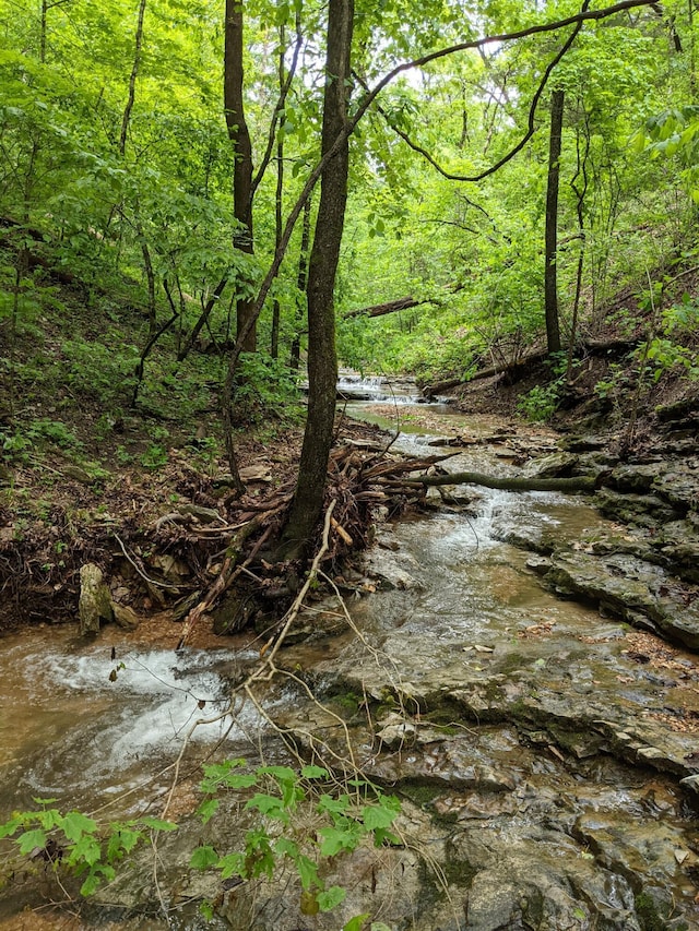 000 Coyote Ridge Rd, Cassville, MO 65625 - photo 11