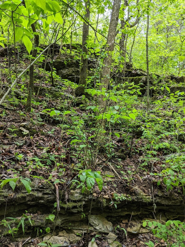 000 Coyote Ridge Rd, Cassville, MO 65625 - photo 17