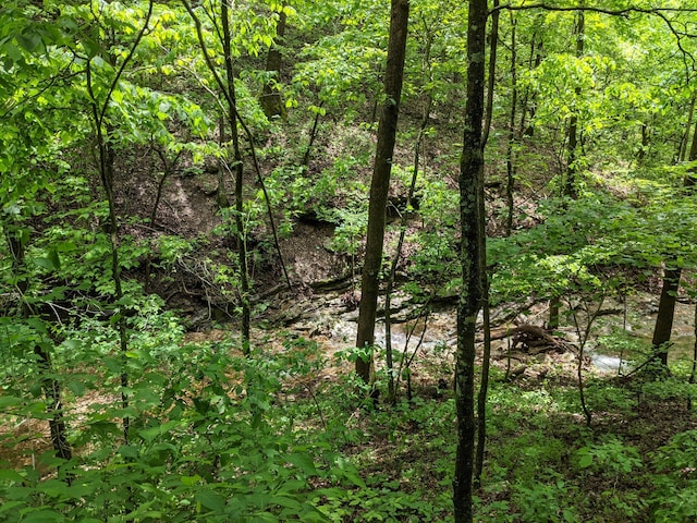 000 Coyote Ridge Rd, Cassville, MO 65625 - photo 8