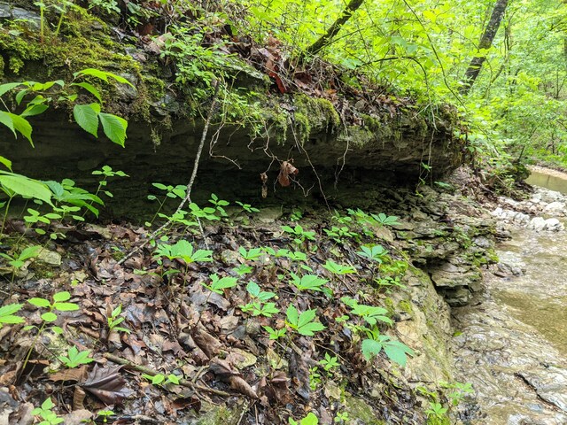 000 Coyote Ridge Rd, Cassville, MO 65625 - photo 21