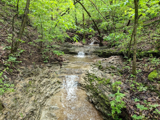 000 Coyote Ridge Rd, Cassville, MO 65625 - photo 20