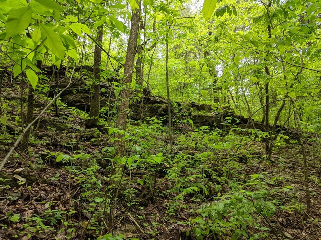 000 Coyote Ridge Rd, Cassville, MO 65625 - photo 19