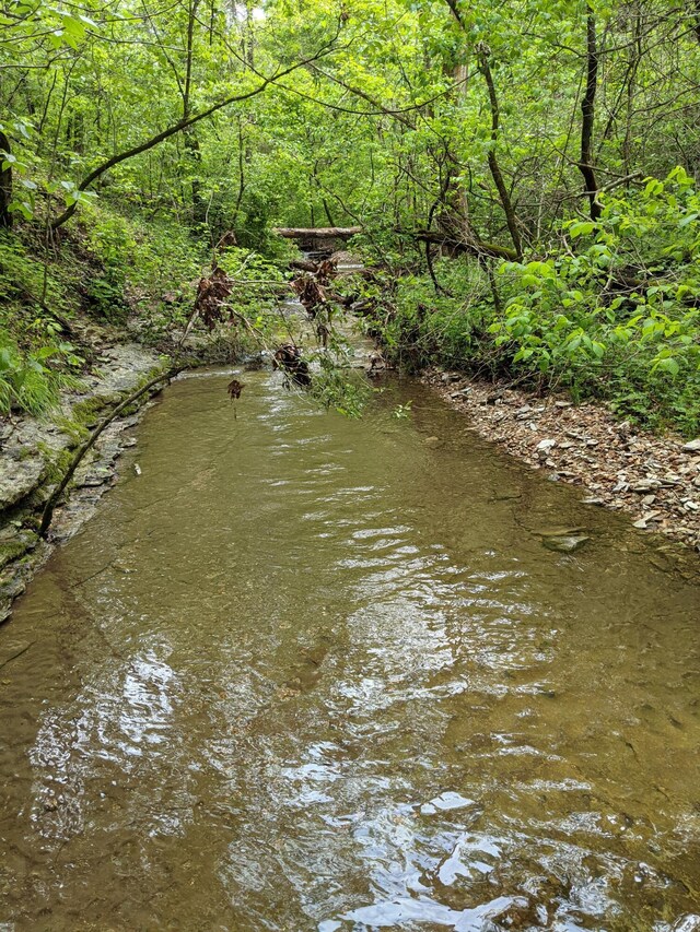 000 Coyote Ridge Rd, Cassville, MO 65625 - photo 28