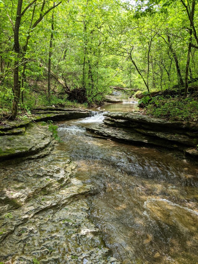 000 Coyote Ridge Rd, Cassville, MO 65625 - photo 30