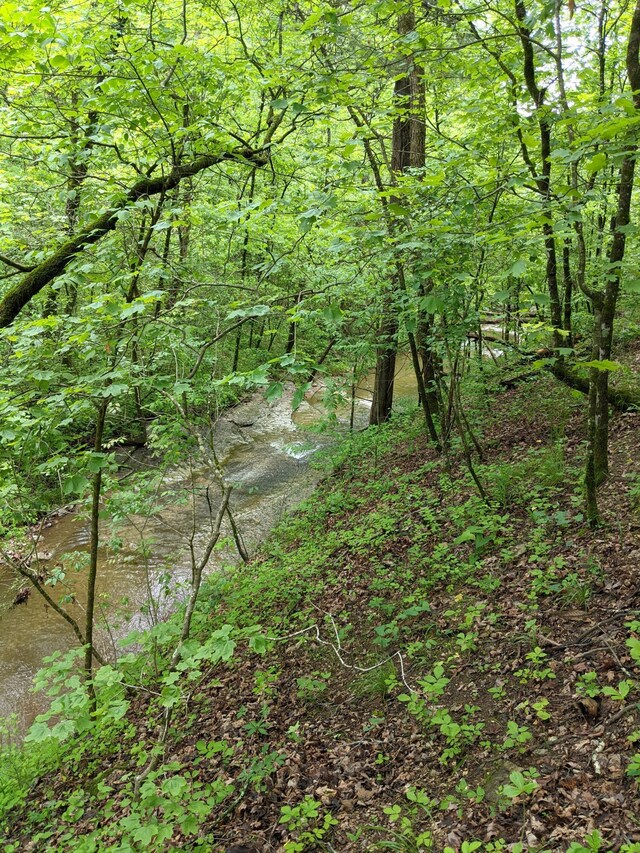 000 Coyote Ridge Rd, Cassville, MO 65625 - photo 27