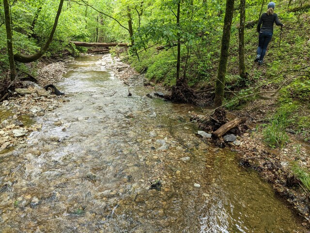000 Coyote Ridge Rd, Cassville, MO 65625 - photo 24