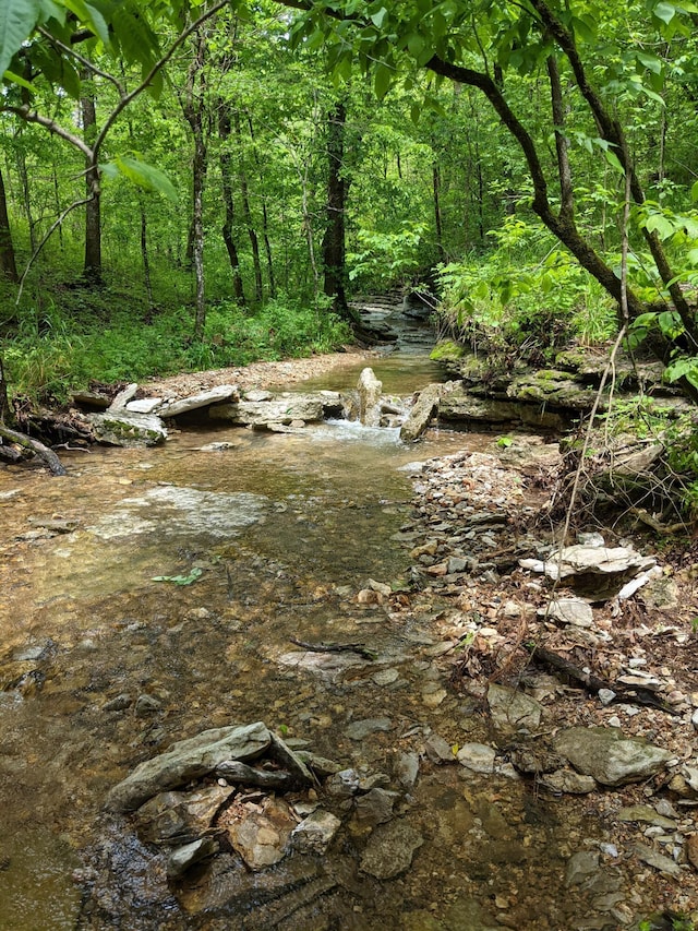 000 Coyote Ridge Rd, Cassville, MO 65625 - photo 35