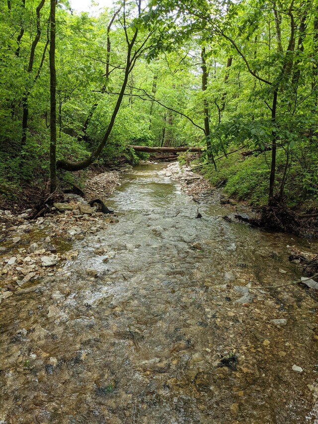 000 Coyote Ridge Rd, Cassville, MO 65625 - photo 23