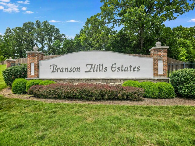 248 Royal Dornoch Dr, Branson, MO 65616 - photo 67