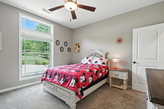248 Royal Dornoch Dr, Branson, MO 65616 - photo 28