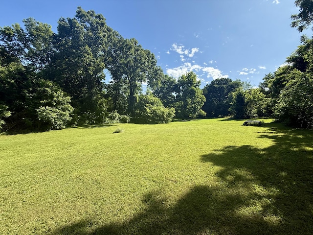 1235 W State Route 17, Houston, MO 65483 - view of grassy yard