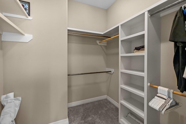 628 N Alexandria St, Nixa, MO 65714 - spacious closet with carpet
