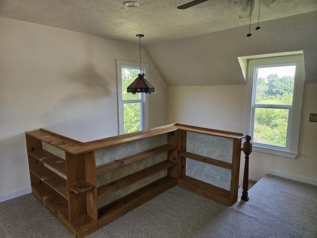 101 W 3rd St, Freistatt, MO 65654 - photo 20