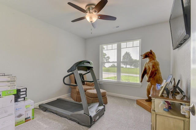 21791 Mill Creek Dr, Shell Knob, MO 65747 - exercise room featuring ceiling fan and carpet