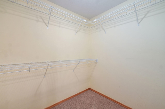 136 Cedar Dale Ln, Ozark, MO 65721 - spacious closet featuring carpet floors