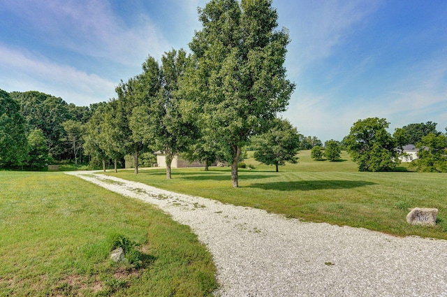 136 Cedar Dale Ln, Ozark, MO 65721 - view of home's community featuring a yard and gravel driveway