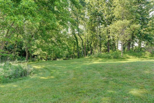 136 Cedar Dale Ln, Ozark, MO 65721 - view of grassy yard