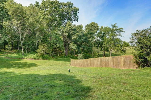 136 Cedar Dale Ln, Ozark, MO 65721 - view of yard