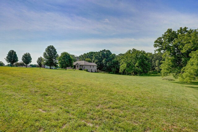 136 Cedar Dale Ln, Ozark, MO 65721 - view of grassy yard