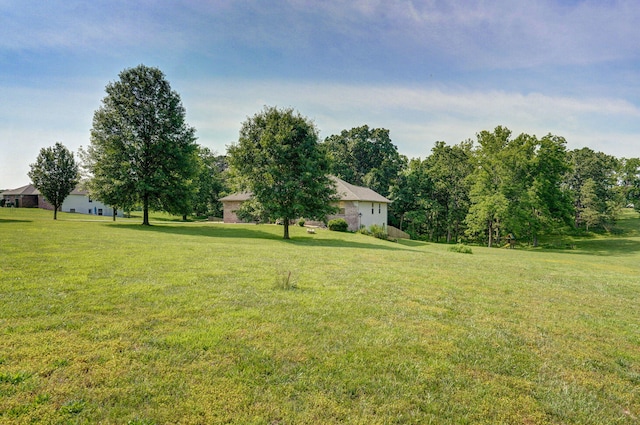 136 Cedar Dale Ln, Ozark, MO 65721 - view of grassy yard