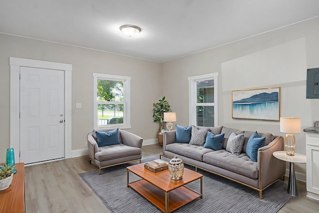 619 N Nettleton Ave, Springfield, MO 65802 - living area featuring light wood-style floors and electric panel