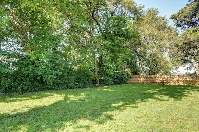 619 N Nettleton Ave, Springfield, MO 65802 - view of yard