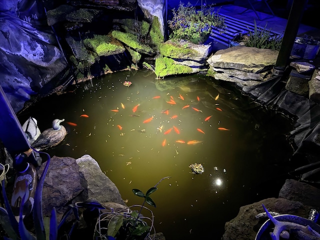 6424 W Farm Rd Unit 140, Springfield, MO 65802 - exterior view of a garden pond