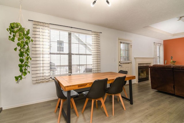 828 S Chinkapin Ave, Nixa, MO 65714 - dining room with light wood-style flooring and a tiled fireplace