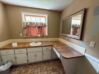 5125 S Walnut Hill Rd, Springfield, MO 65810 - bathroom with healthy amount of natural light and vanity