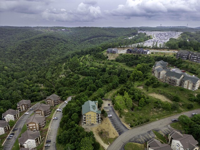 31 Blue Bird Way Unit 4, Branson, MO 65616 - photo 30