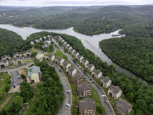 31 Blue Bird Way Unit 4, Branson, MO 65616 - photo 29