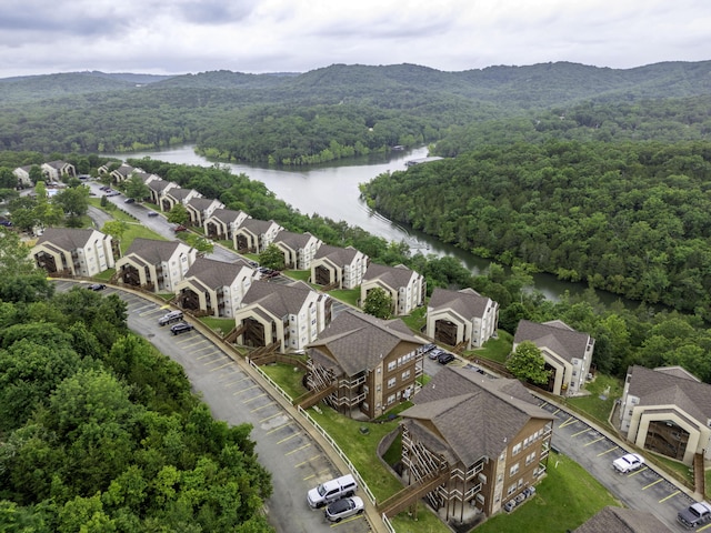 31 Blue Bird Way Unit 4, Branson, MO 65616 - photo 21