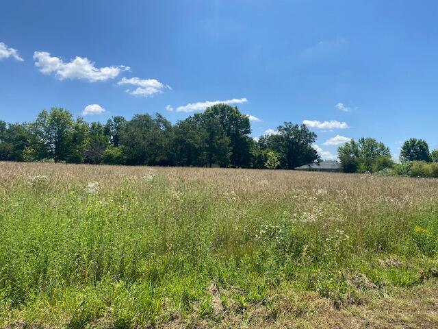 1.07ACRES N Orchard Blvd, Fair Grove, MO 65648