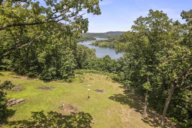 28812 Farm Rd Unit 1250, Golden, MO 65658 - photo 4