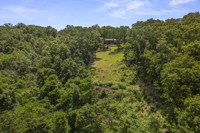 28812 Farm Rd Unit 1250, Golden, MO 65658 - photo 45