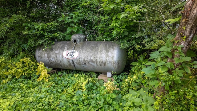 1160 Bethel Ave, Mammoth Spring, AR 72554 - exterior view of heating fuel tank