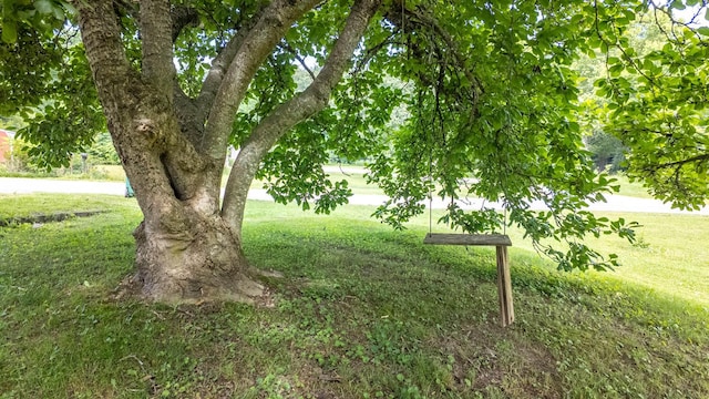 1160 Bethel Ave, Mammoth Spring, AR 72554 - view of green lawn
