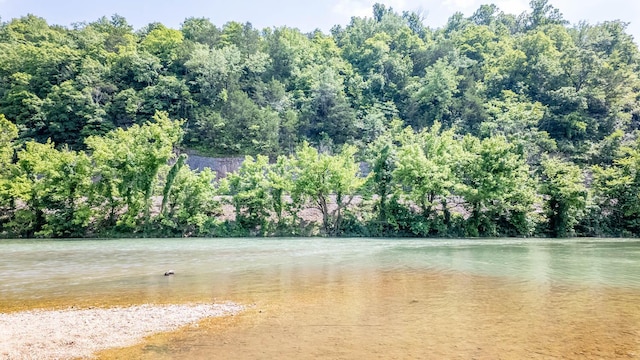 4534 Bayou Access Rd, Mammoth Spring, AR 72554 - water view