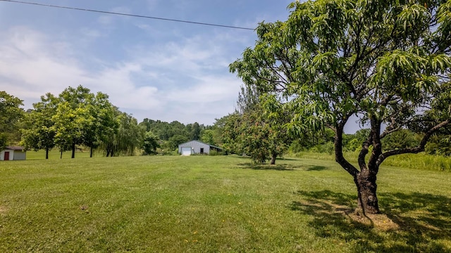 4534 Bayou Access Rd, Mammoth Spring, AR 72554 - view of green lawn with a garage and an outbuilding